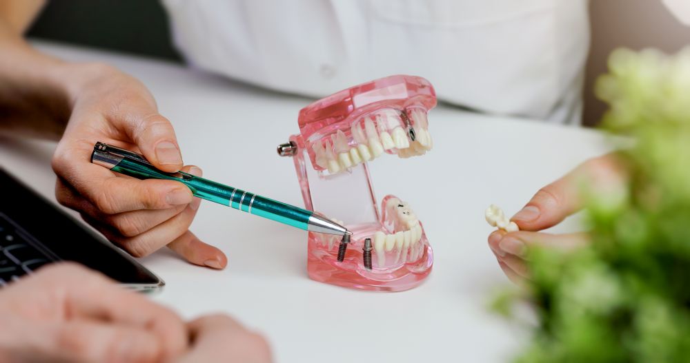 A dentist showing a patient a model of a dental implant in a jaw